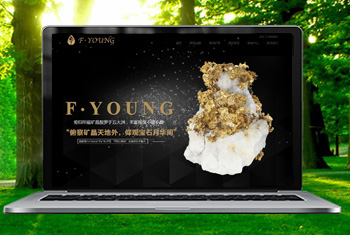 �ںӸ������ﱦʯ